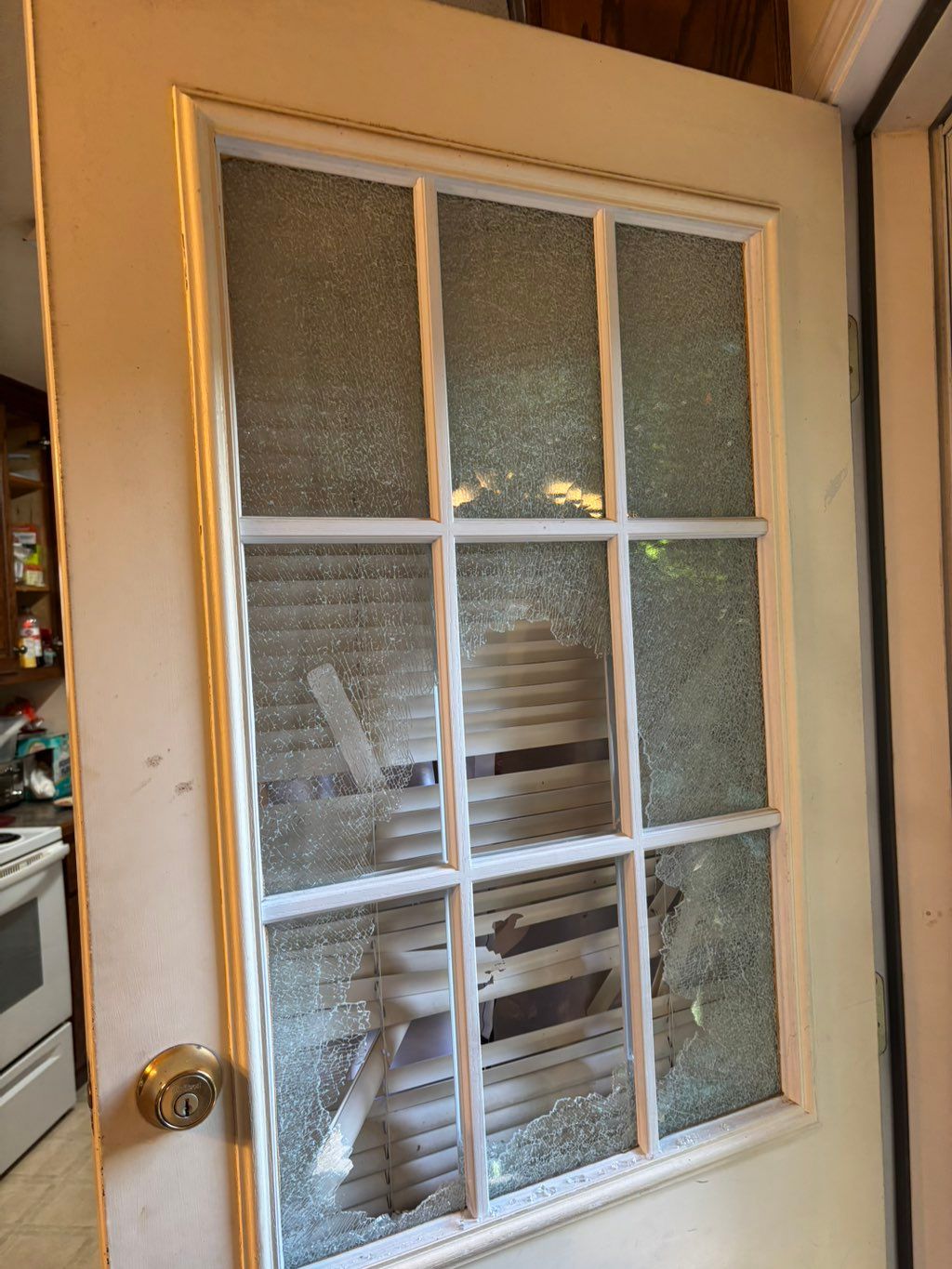 French door with a twelve-pane glass window that was broken out and replaced
